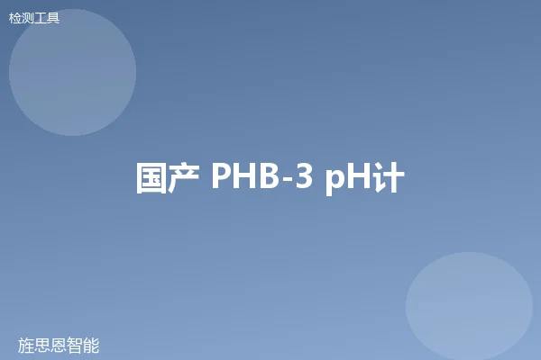 国产 PHB-3 pH计