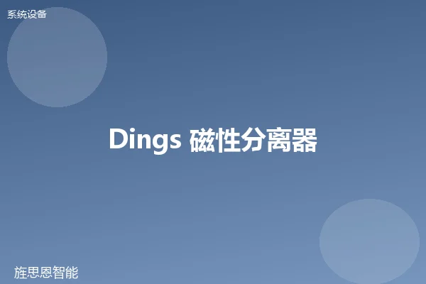 Dings 磁性分离器